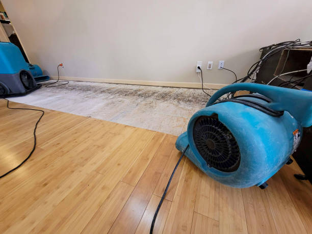 Professional Water Damage Repair technician working in Florence, SC